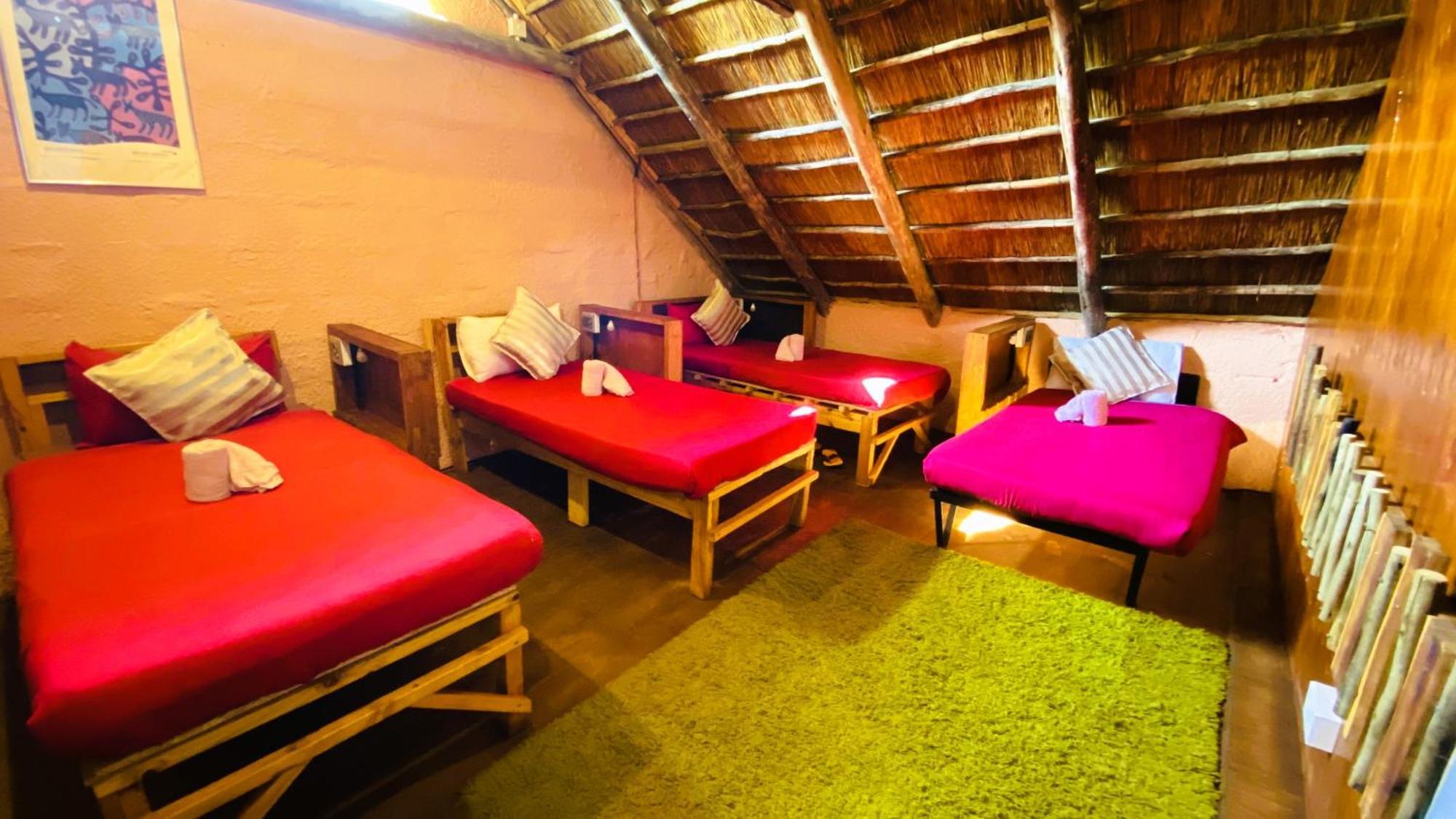 Elephant Trail Guesthouse And Backpackers Kasane Habitación foto